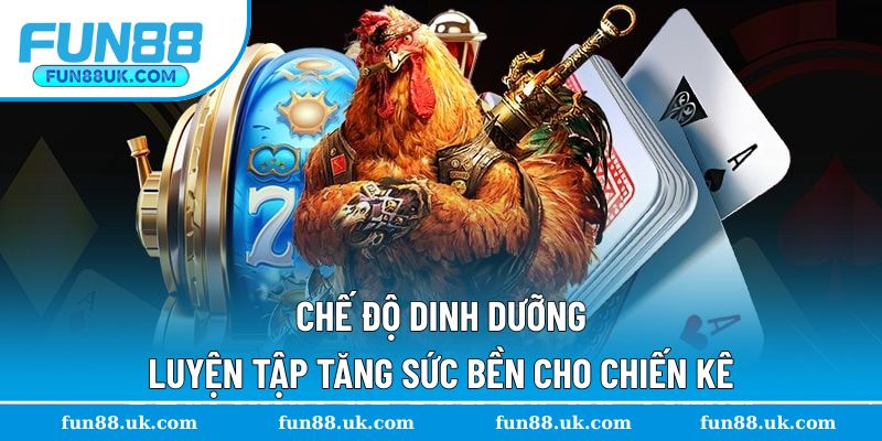 Tham khảo chế độ luyện tập tăng sức bền