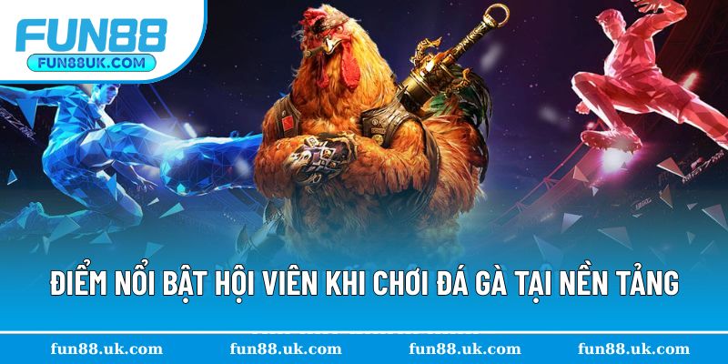 Điểm nổi bật khi chơi đấu kê trực tuyến tại Fun88