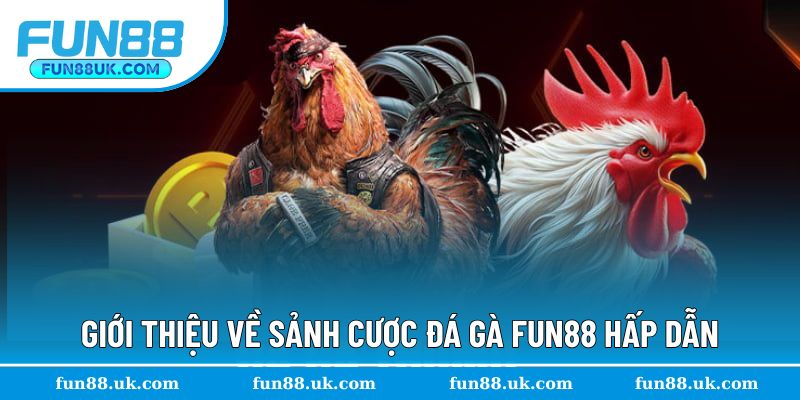 Tìm hiểu tổng quan nền tảng đá gà Fun88 uy tín