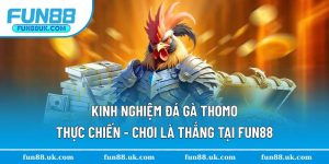 Kinh Nghiệm Đá Gà Thomo Thực Chiến - Chơi Là Thắng