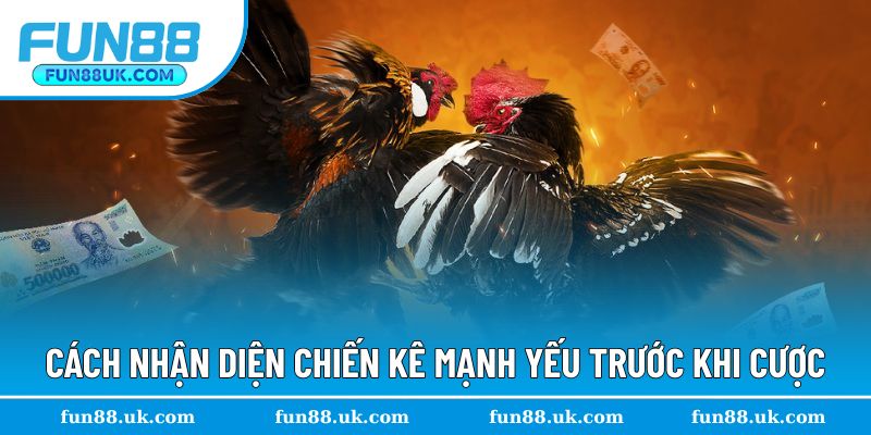 Tham khảo cách nhận diện chiến kê mạnh yếu 
