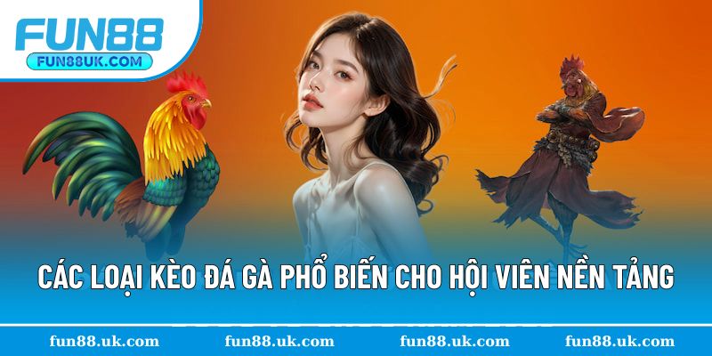 Khám phá đa dạng loại kèo đấu kê phổ biến