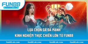 Lựa Chọn Gà Đá Mạnh - Kinh Nghiệm Thực Chiến Lớn Từ Fun88