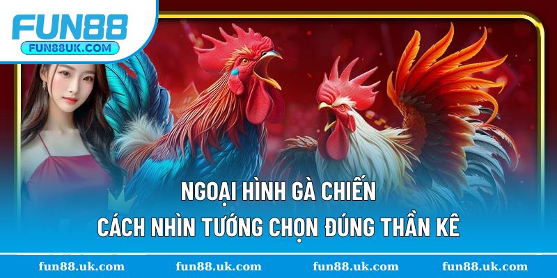 Chọn kê chiến mạnh khỏe qua ngoại hình