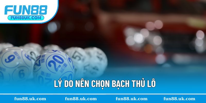 3 lý do bạch thủ được lựa chọn nhiều