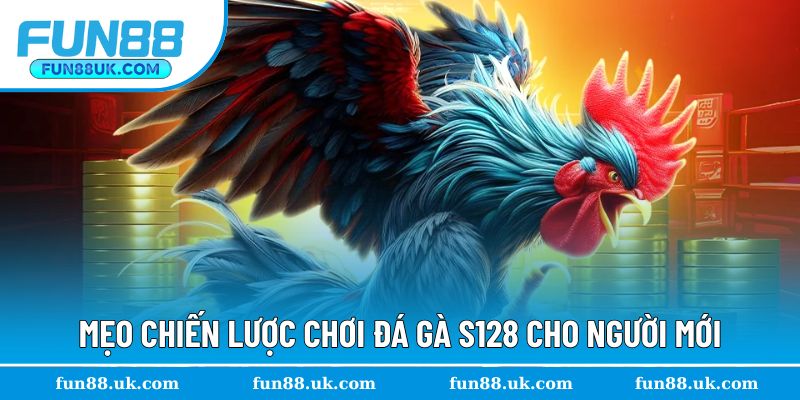 Tham khảo mẹo chơi đấu kê S128 cho người mới