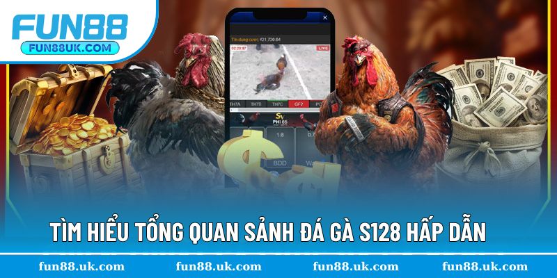 Tìm hiểu tổng quan sảnh đá gà S128 hấp dẫn